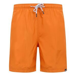 Regatta Mens Mackleyna Swim Shorts / Fox